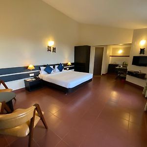 Premium Suite